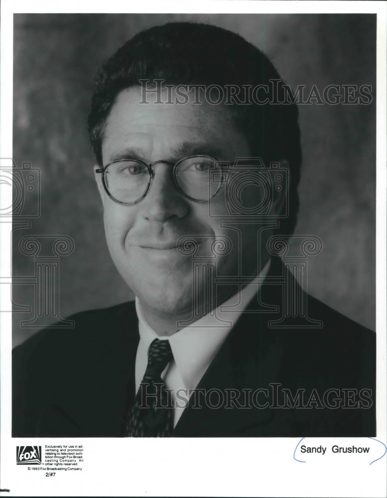 1993, President Of Fox Entertainment Group Sandy Grushow - mjp18756 - Historic Images