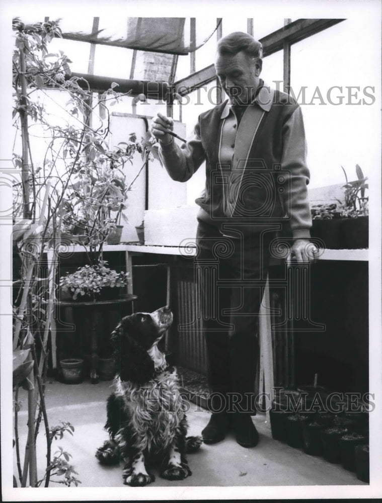 1967 Press Photo Actor, John Mills with his dog, in greenhouse - Historic Images