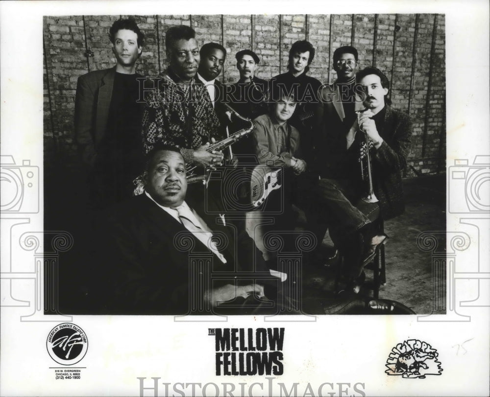 1991 Press Photo The Mellow Fellows, a group of rockers from Chicago. - Historic Images