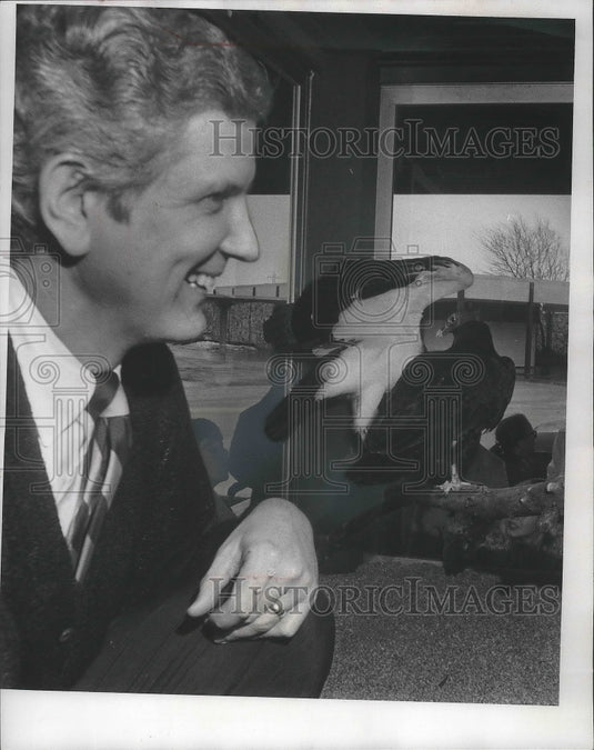 1971, Gordon Hinkley, radio announcer in Milwaukee, with a buzzard - Historic Images