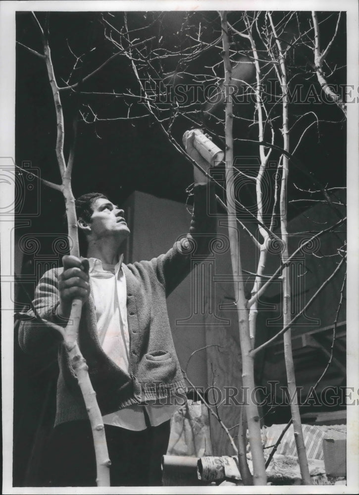 1969, Kenneth Mueller sprays tree limb at Milwaukee Repertory Theater - Historic Images