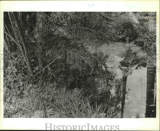 1985 Press Photo Acrylic On Canvas 'Edison Creek' By William Nichols In New York-Historic Images