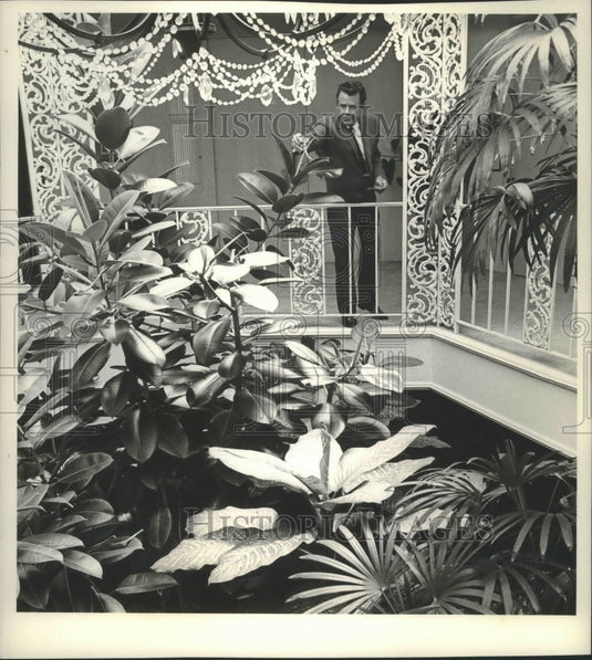 1971 Press Photo Glenn Ford at home in his lush tropical garden - Historic Images
