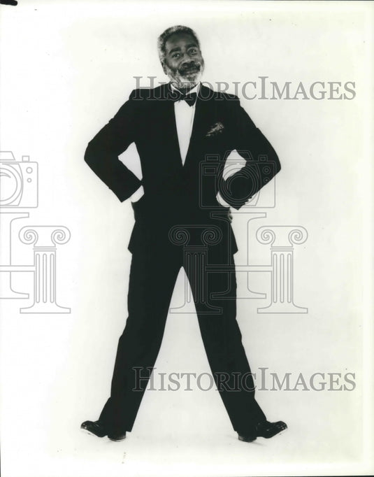 Press Photo LaVaughn Robinson, Echoes of Africa - Historic Images