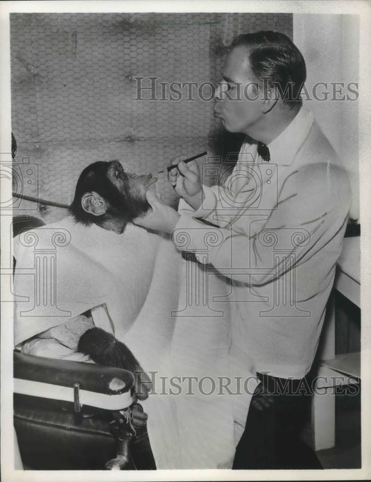 1964, Harry Morgan with his friend in "December Bride" - Historic Images