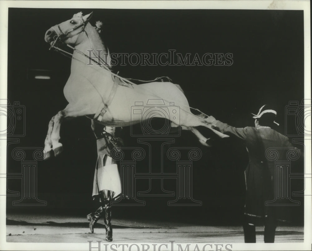 1974, Capriole - performed by Royal Lipizzan Stallion Show - Historic Images