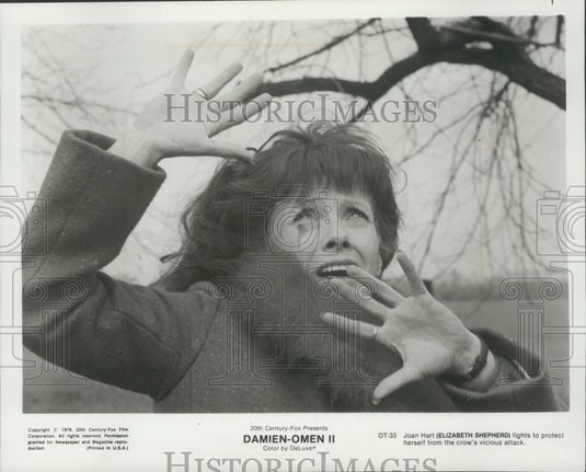 1978, Elizabeth Shepherd stars in "Damien (Omen II)" - mjp31997 - Historic Images
