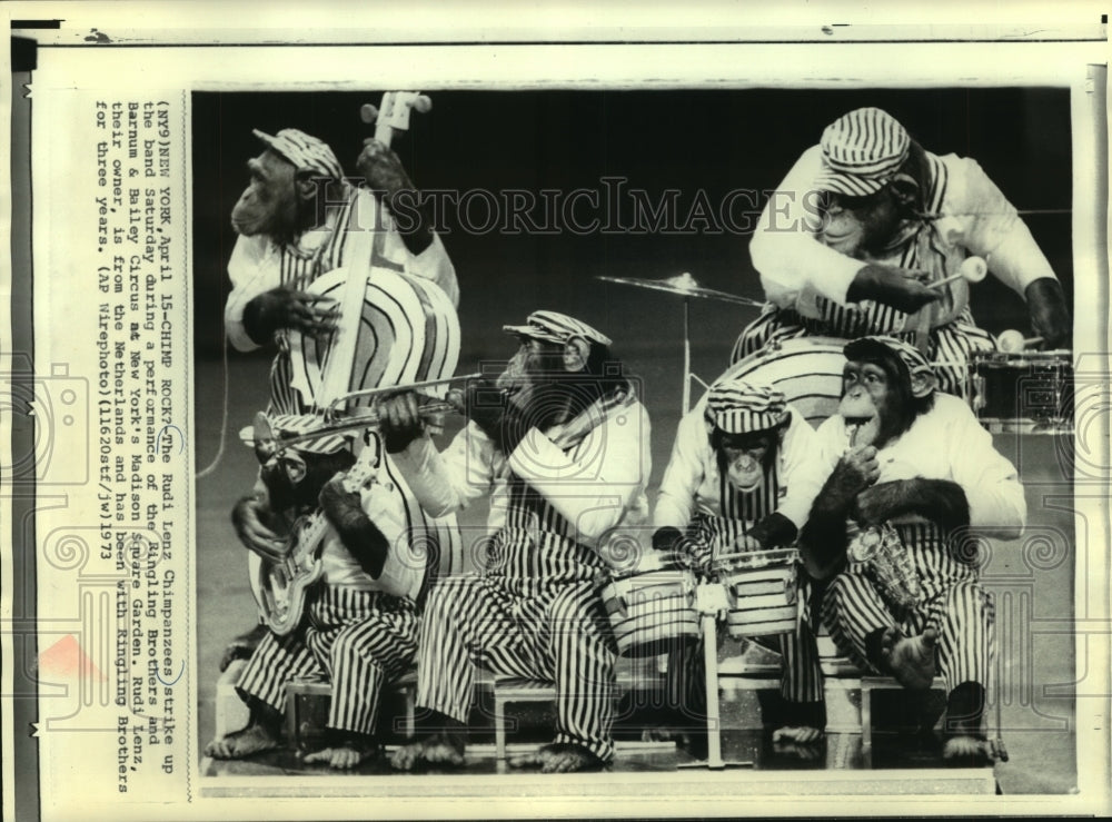 1973, New York-Rudi Lenz Chimpanzees strike up the band - mjp37187 - Historic Images