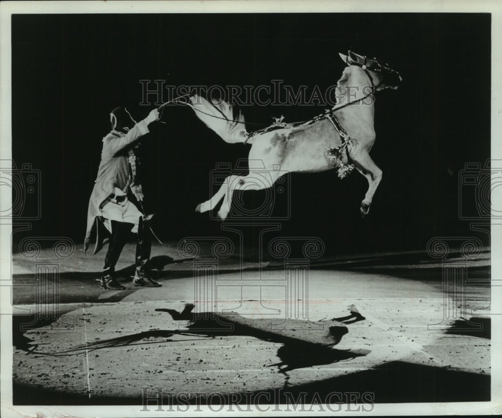 1973 Press Photo Royal Lipizzan Stallion and trainer performing in show. - Historic Images