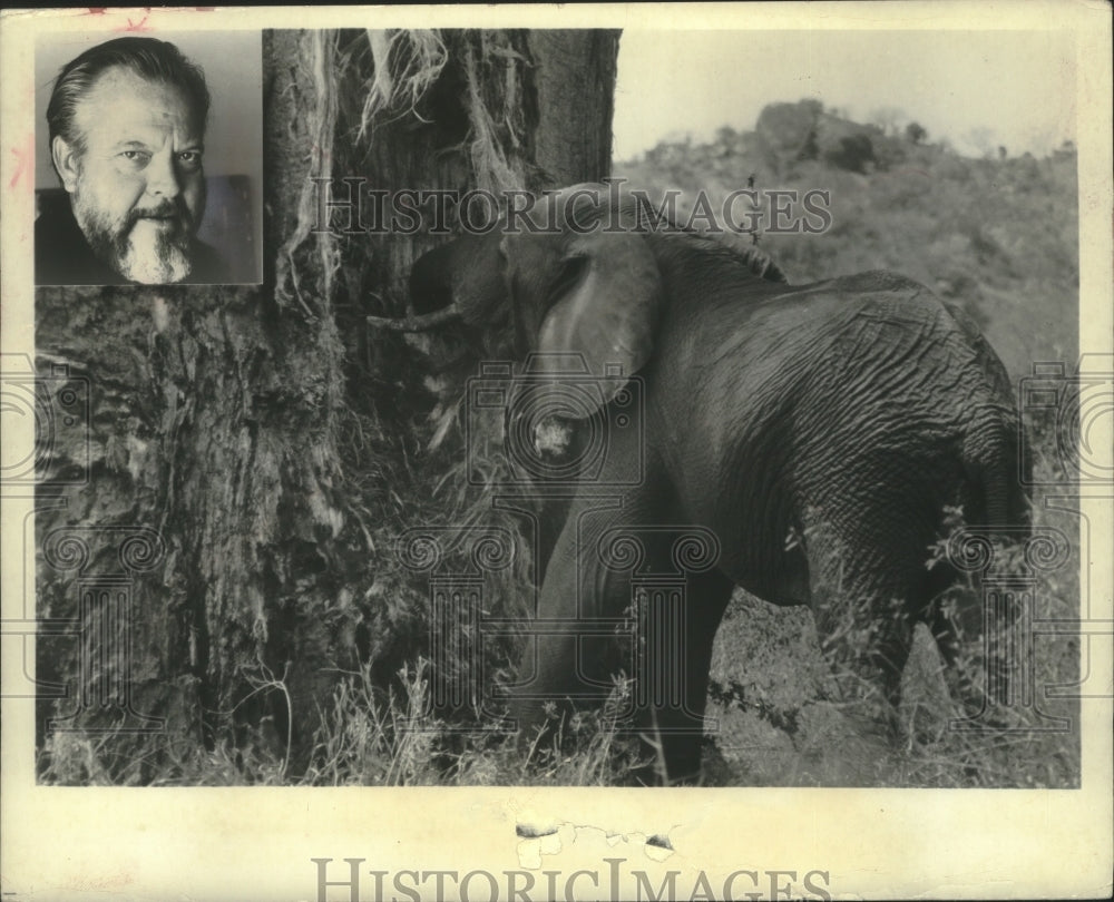 1972, Orson Welles And Elephant - mjp38802 - Historic Images