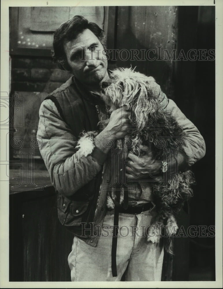 1982, Judd Hirsch and Buddy his dog star &quot;Alex&#39;s Old Buddy&quot; on &quot;Taxi&quot; - Historic Images