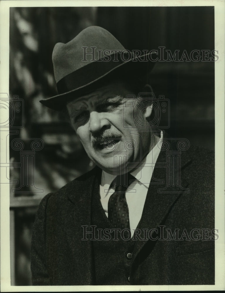 1974 Press Photo Actor Pat Hingle - mjp40517- Historic Images