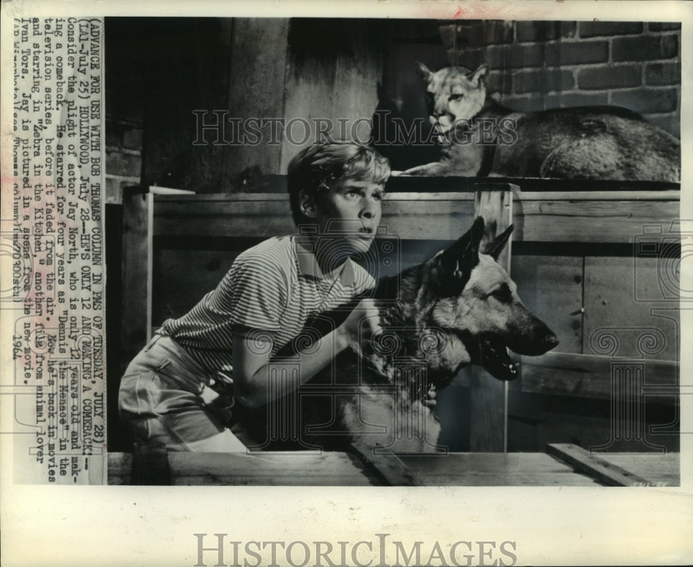1964, Actor Jay North stars in &quot;Zebra in the Kitchen&quot; - mjp41274 - Historic Images