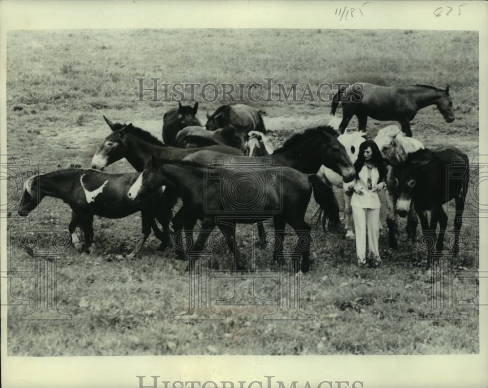 1976 Country music star Loretta Lynn with some of her horses - Historic Images