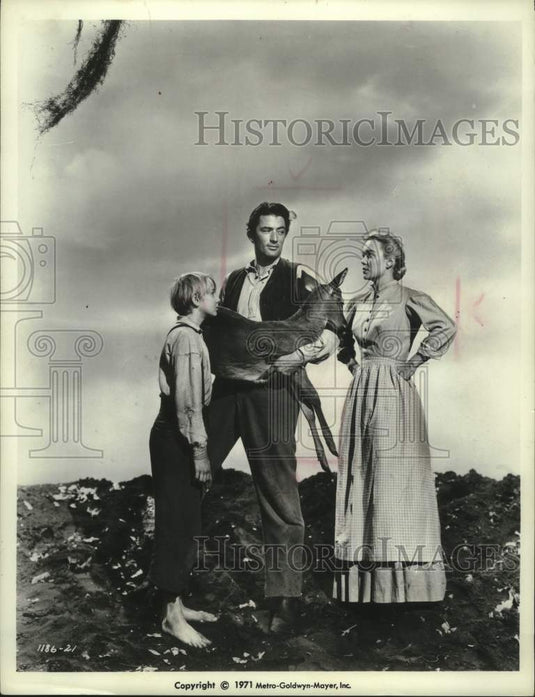 1971, Gregory Peck and Jane Wyman star in The Yearling. - mjp43521 - Historic Images