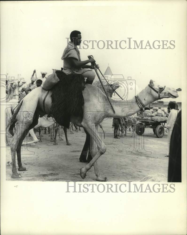 1973, Richard Roundtree rides a camel in scene from &quot;Shaft in Africa&quot; - Historic Images