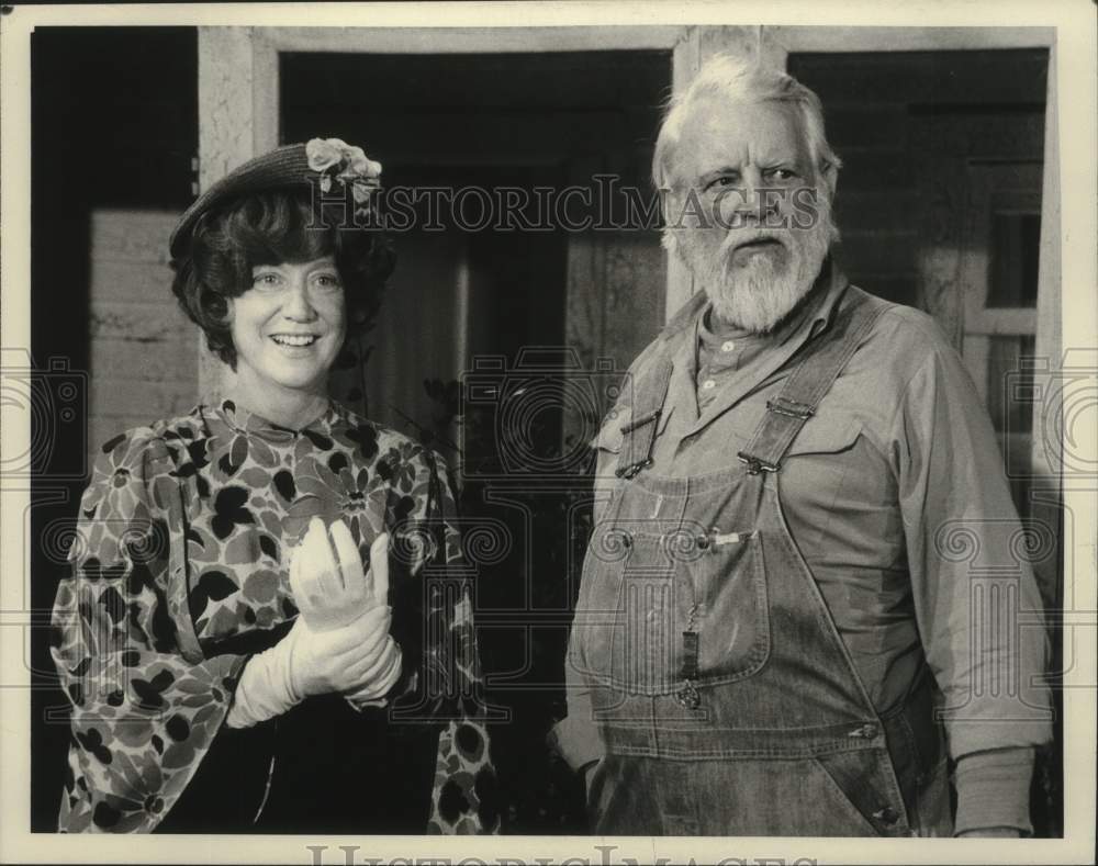 1980 Press Photo Actor Denver Pyle - mjp44541-Historic Images
