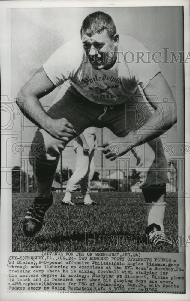 1966 Press Photo Ed Blaine, 240 pound offensive Philadelphia Eagles lineman-Historic Images