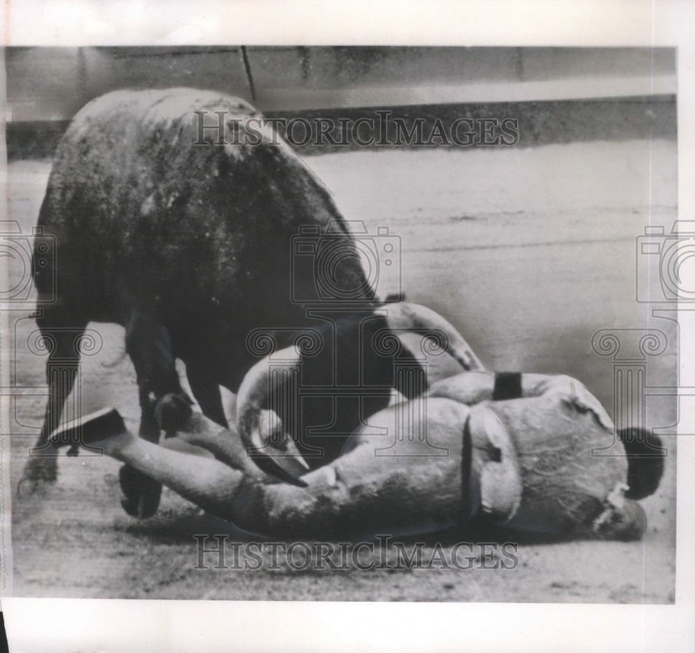 1962 Press Photo Antonio Ordonez-Gored Matador Lays in Pain in Salamanca, Spain-Historic Images