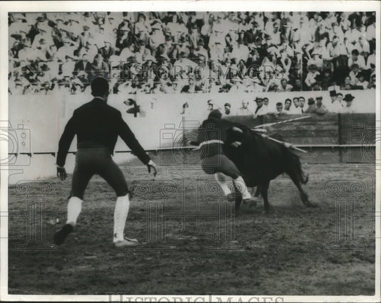 1968 Press Photo Portuguese Style Bullfighting - Historic Images