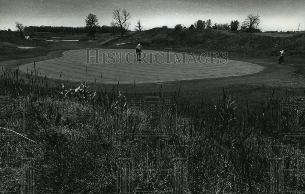 1990 Press Photo Sharon Brandt putts on Missing Links Golf Club course, Mequon - Historic Images