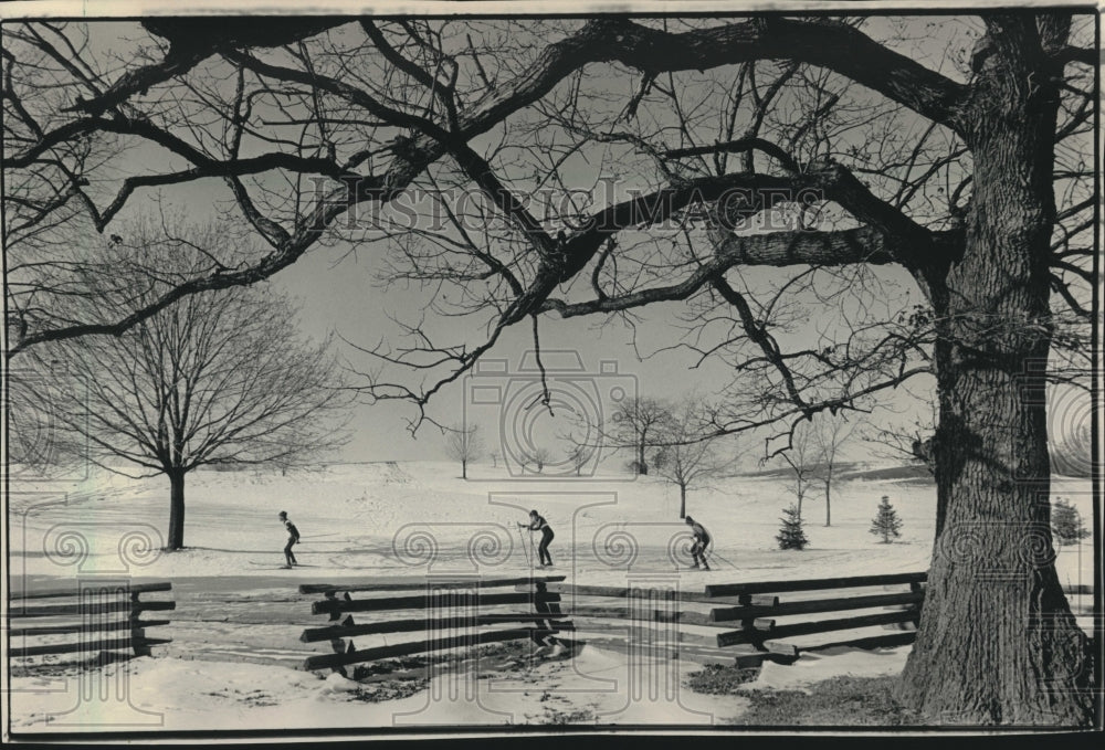 1986 Press Photo Skiers going across Nagawaukee Park in Waukesha, Wisconsin. - Historic Images