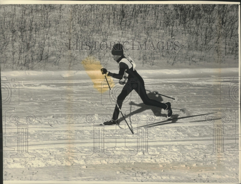 1988 Press Photo Cross-country skier practices at Nashotah Park in Waukesha Co.- Historic Images