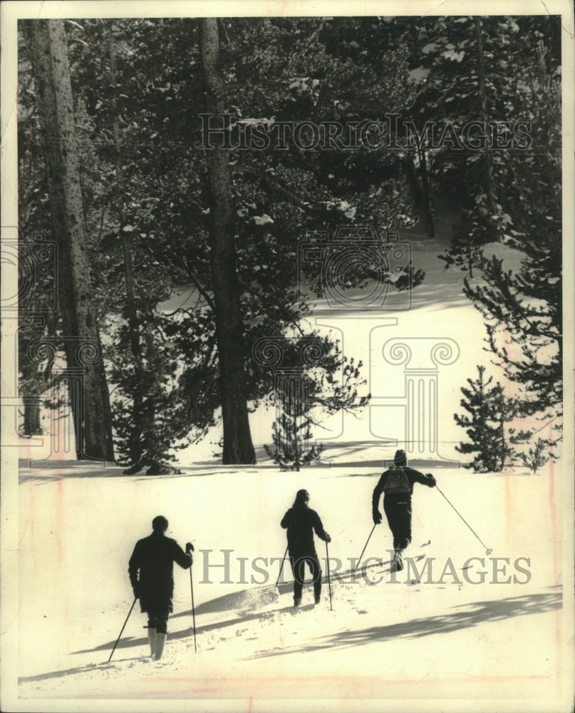 1970 Cross country skiers trek through winter wonderland, Wisconsin. - Historic Images