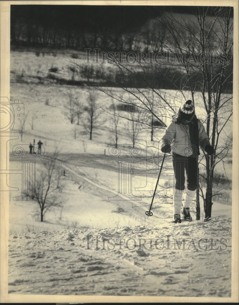 1986 Press Photo A cross country skier makes his way up a Minooka Park hill- Historic Images