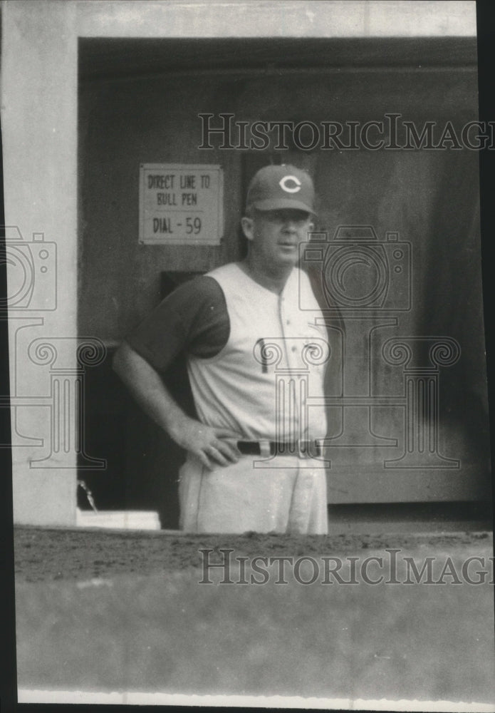 1956 Press Photo Chicago Cubs manager George â€œBirdieâ€ Tebbetts - mjt16863 - Historic Images