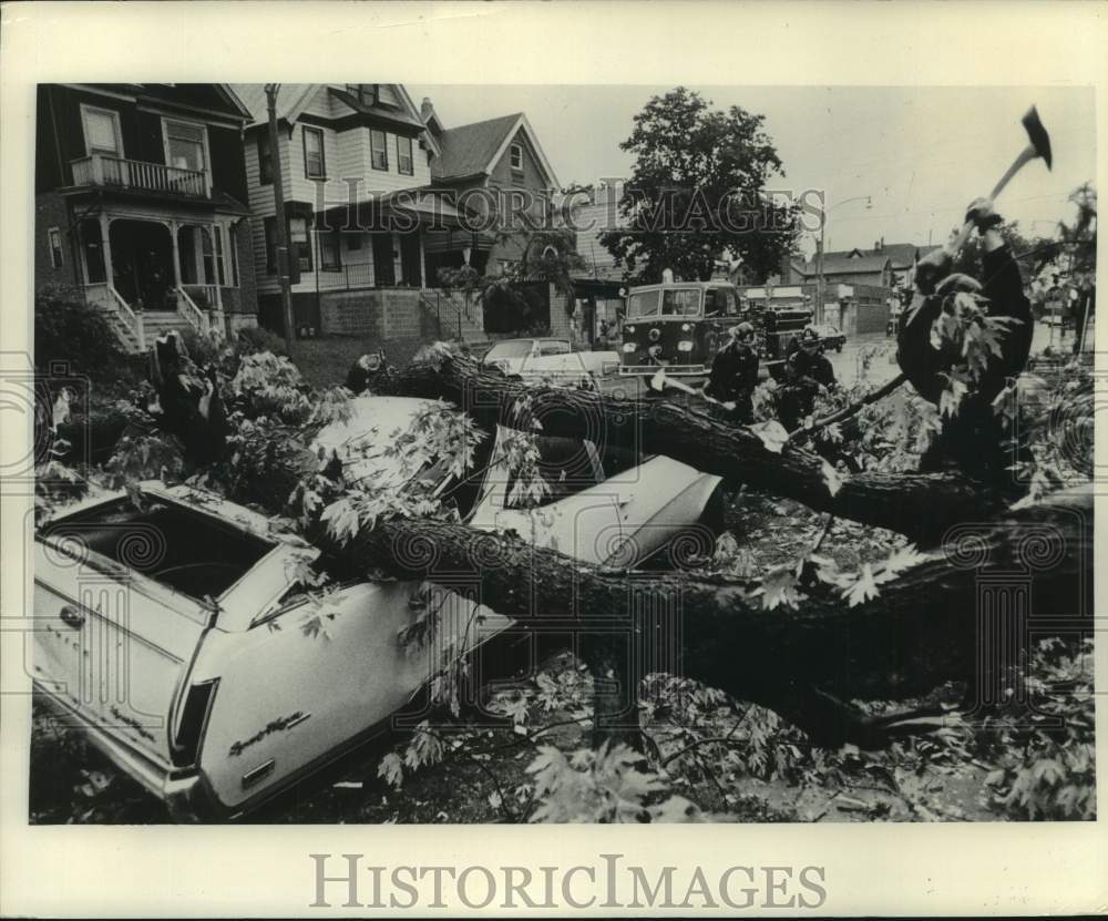 1954 Press Photo Strong storm laid this tree onto car in Milwaukee, Wisconsin- Historic Images