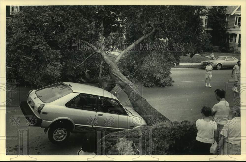 1987 Press Photo A Milwaukee thunderstorm blew a tree across front of a car - Historic Images