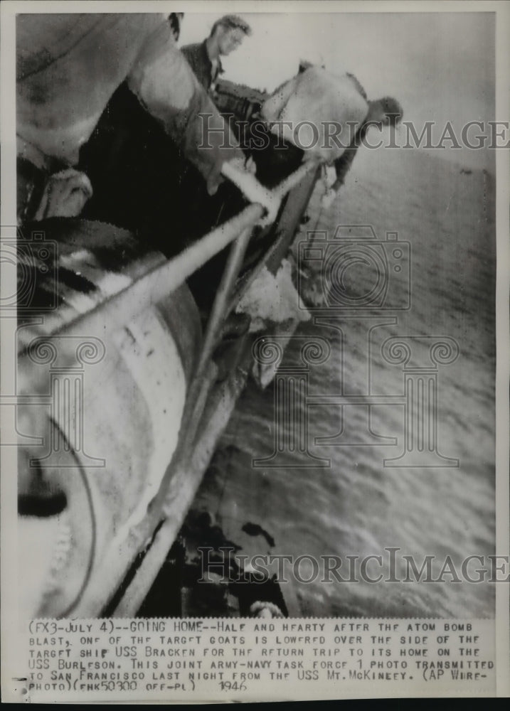 1946 Press Photo goat being lowered to boat to return home after atom bombing - Historic Images