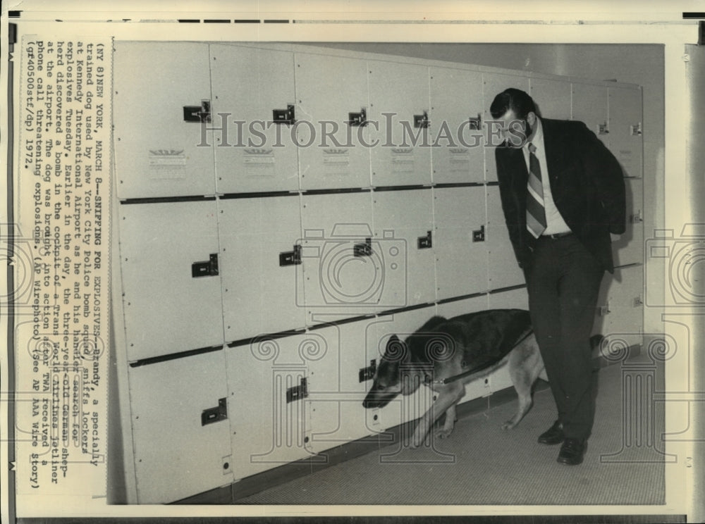 1972 Press Photo Bomb sniffing dog combs John F. Kennedy airport in New York.-Historic Images