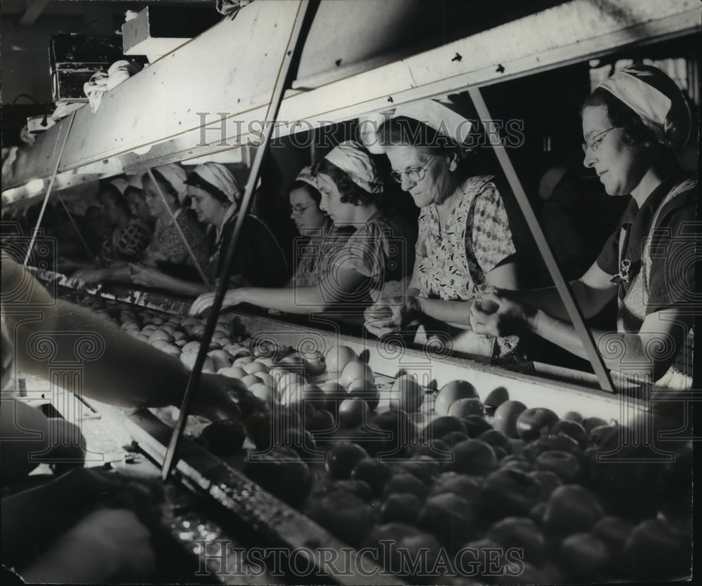 1937 Press Photo Women sorting and Canning Tomatoes - mjx02748-Historic Images
