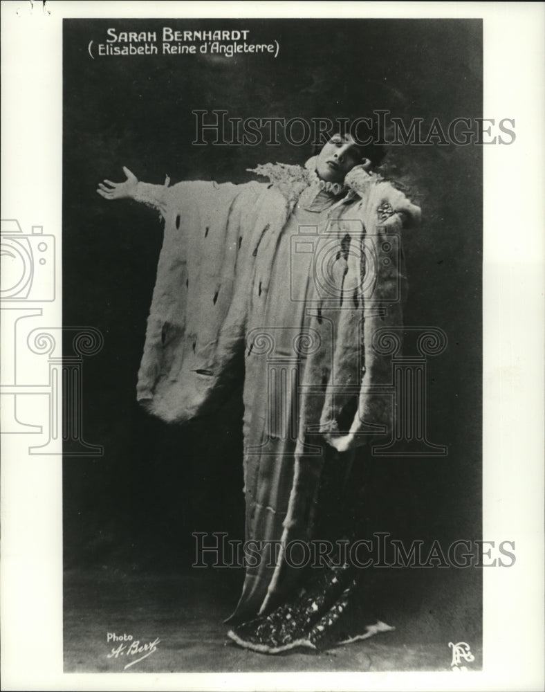 Press Photo Sarah Bernhardt presented at Severin Wunderman Museum - mjx03674-Historic Images