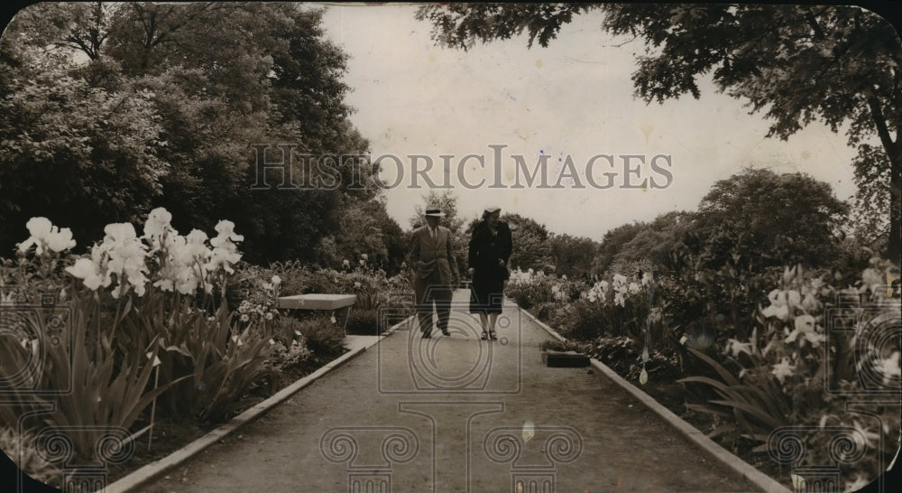 1952 Press Photo Couple gazing at the flowers in Whitnall Park - mjx07797-Historic Images