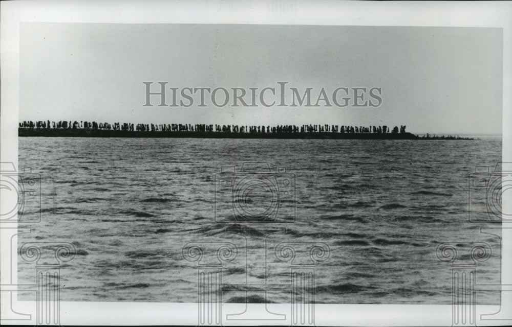 1975 Press Photo Lines of Laborers Along Dike in Bay of Bengal in Bangladesh-Historic Images