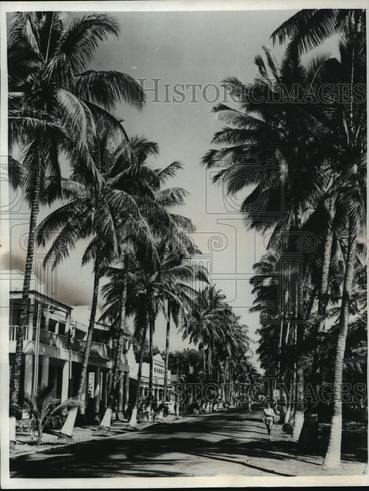 1959 Press Photo Palm trees at Avenue Jacques Tombeur at Albertville, Congo-Historic Images
