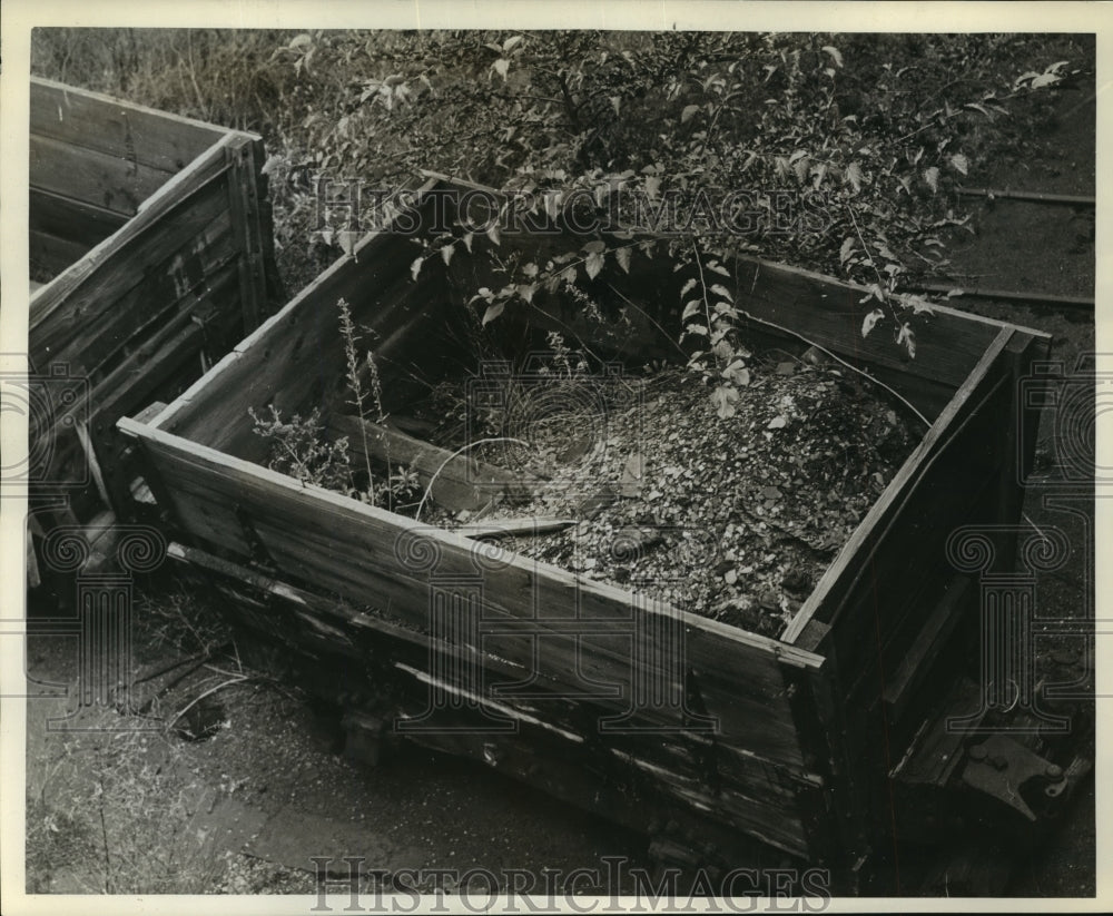1938 Press Photo Dump cars Became a weed Garden Illinois Steel Company- Historic Images