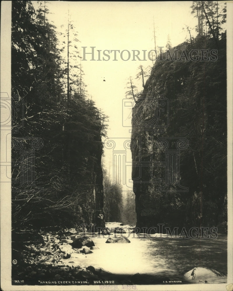 1928 Press Photo Alaska, River Near Wrangeel, Harding Creek Canyon - mjx21142-Historic Images
