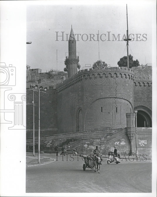 1969 Press Photo View of Cairo's mules and donkeys transportation - mjx23047-Historic Images