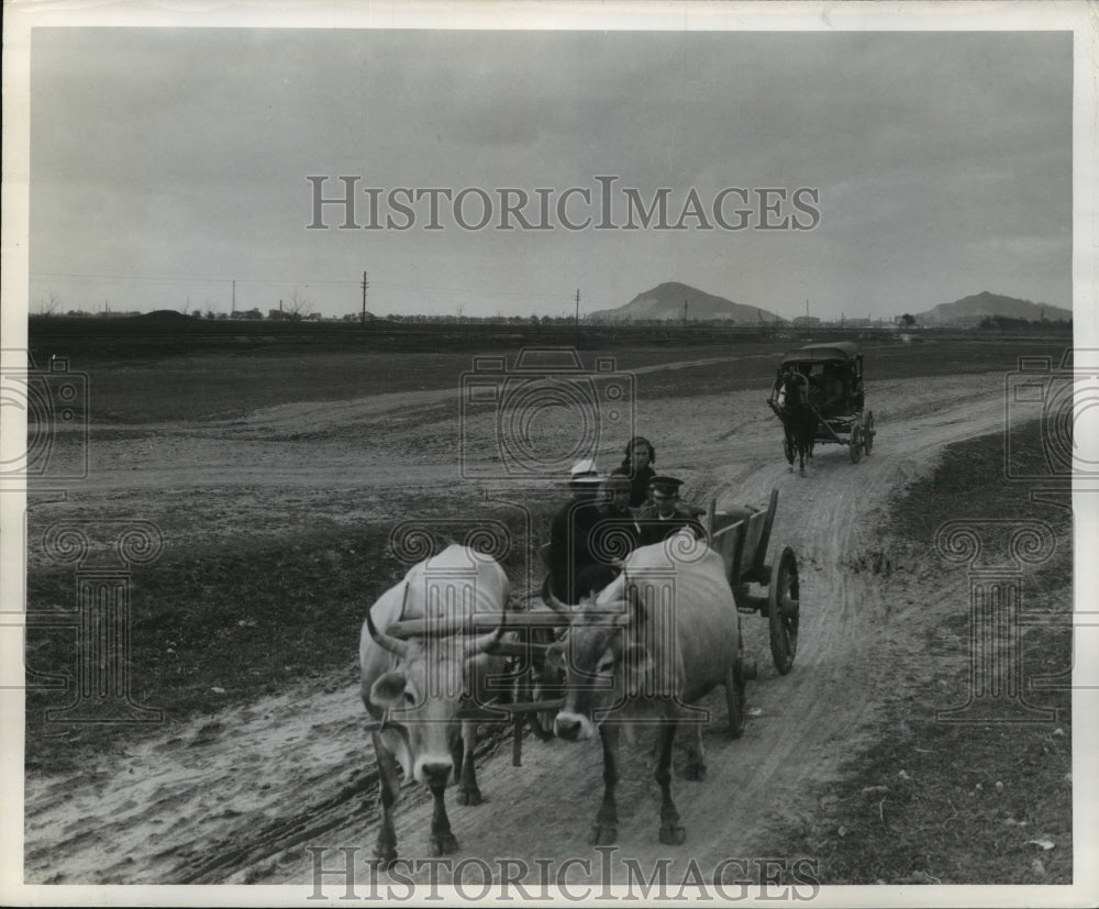 1944 Press Photo Country Folk Homeward Bound From Bulgaria - Historic Images