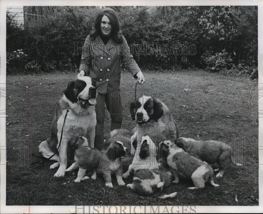 1967 Press Photo Cindy With Her St. Bernard&#39;s And The New Puppies - mjx28195-Historic Images