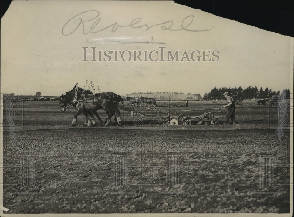 1928 Press Photo New Zealand plowboys competition in Palmerston North-Historic Images