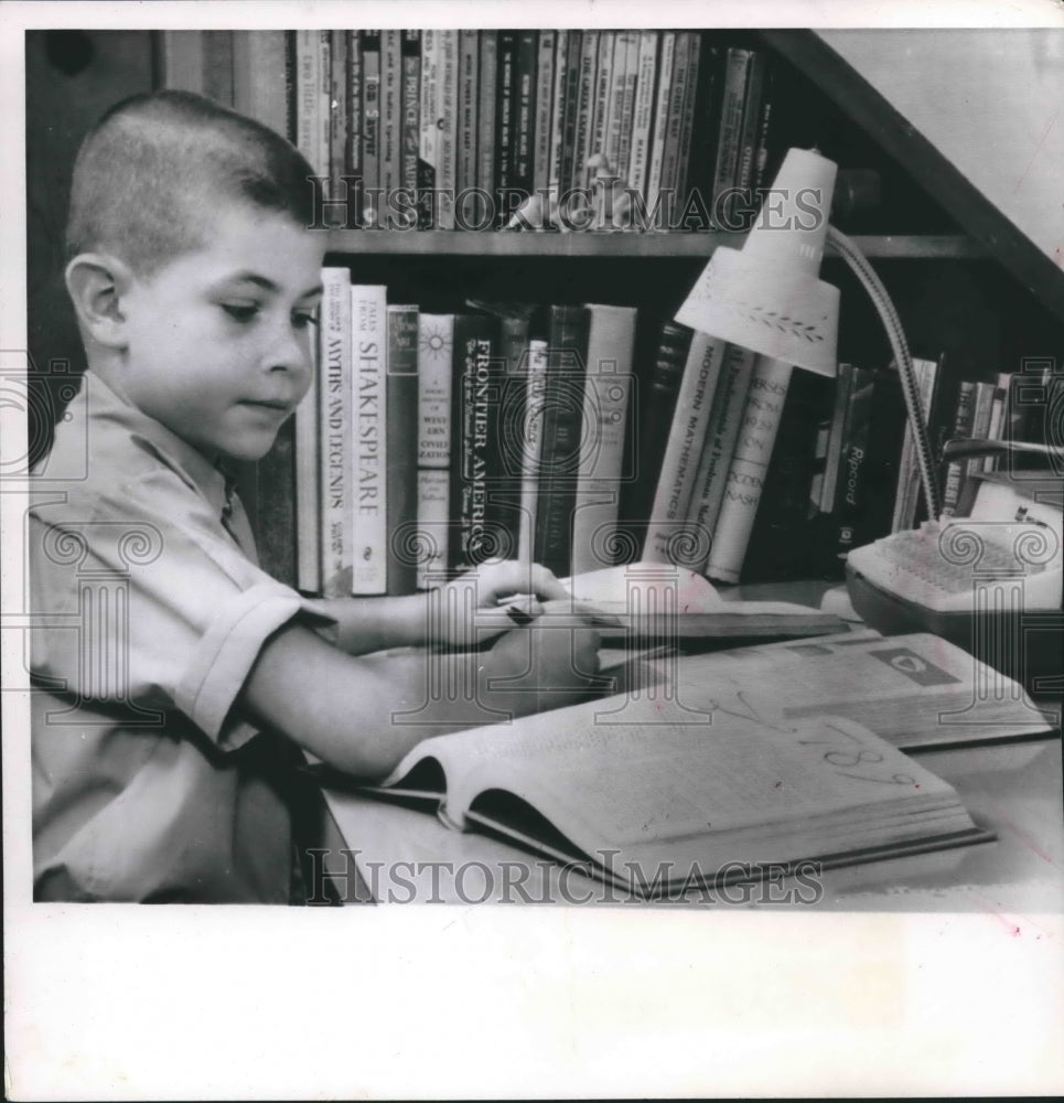 1971 Press Photo Mathematics genius Michael Grost at age 11 - mjx37806- Historic Images