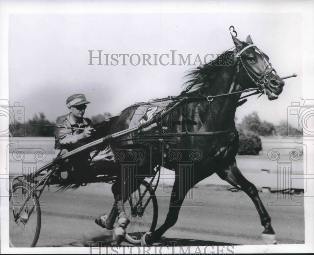 1954 Press Photo Ideal Hanover, Joe O'Brien Run in the Hableronian at Goshen, NY- Historic Images