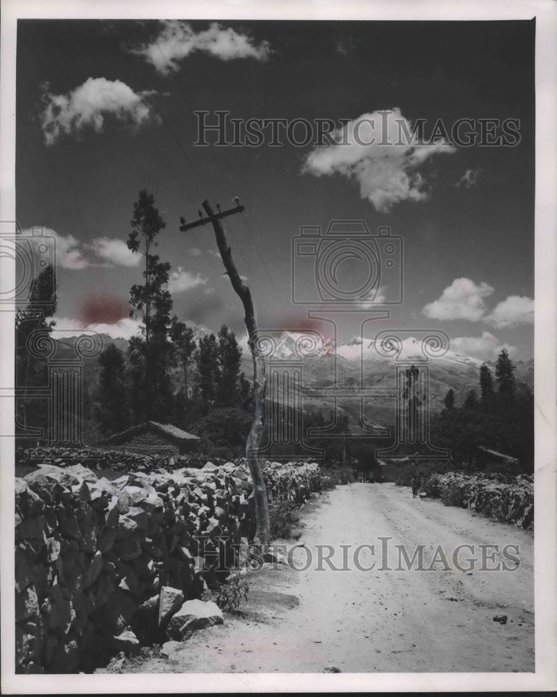 1953 Any tree may be a telephone pole in Andes mountains in Peru.-Historic Images