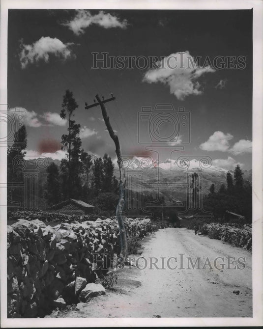 1953 Any tree may be a telephone pole in Andes mountains in Peru.-Historic Images