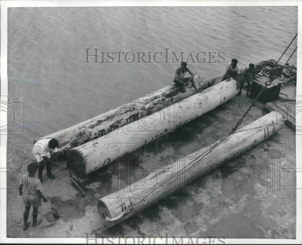1957 Press Photo Lumber shipped from manokeari, Papua New Guinea to Australia.- Historic Images